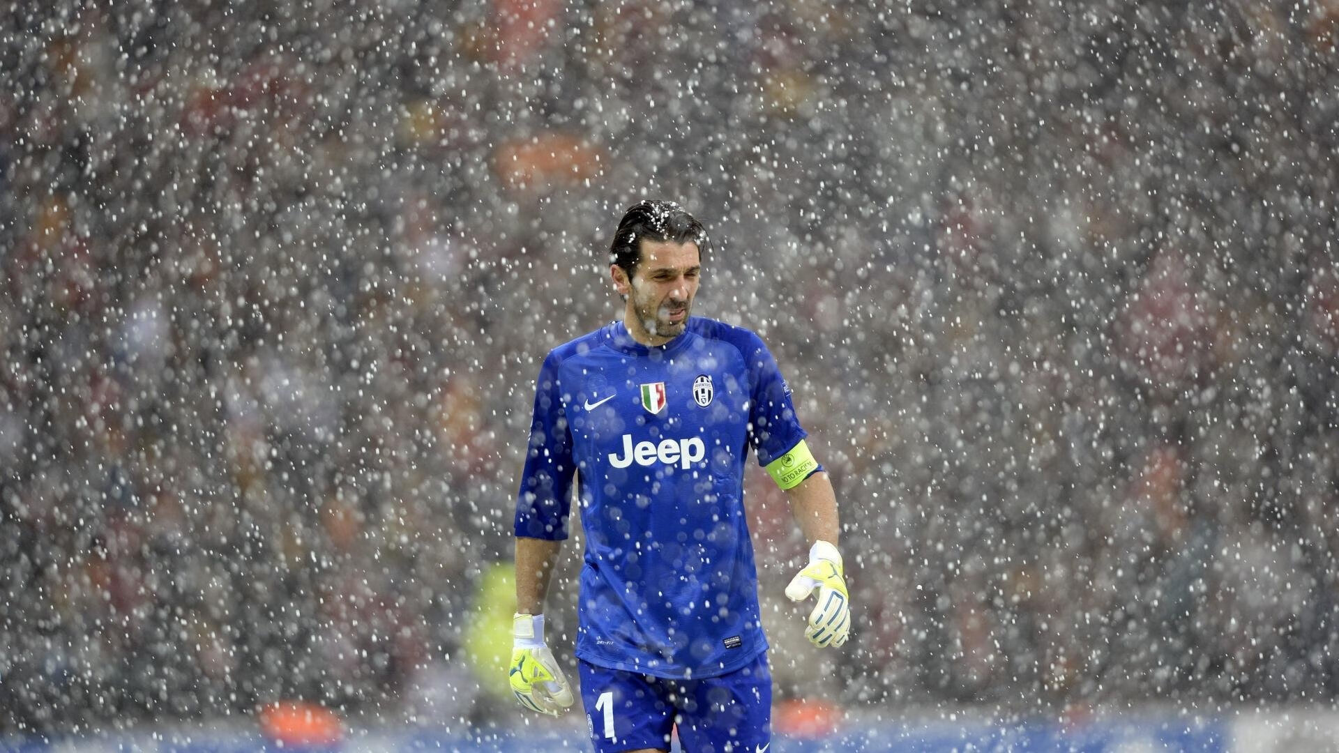 新秀团队崛起，未来之星值得期待！，未来之星组口号