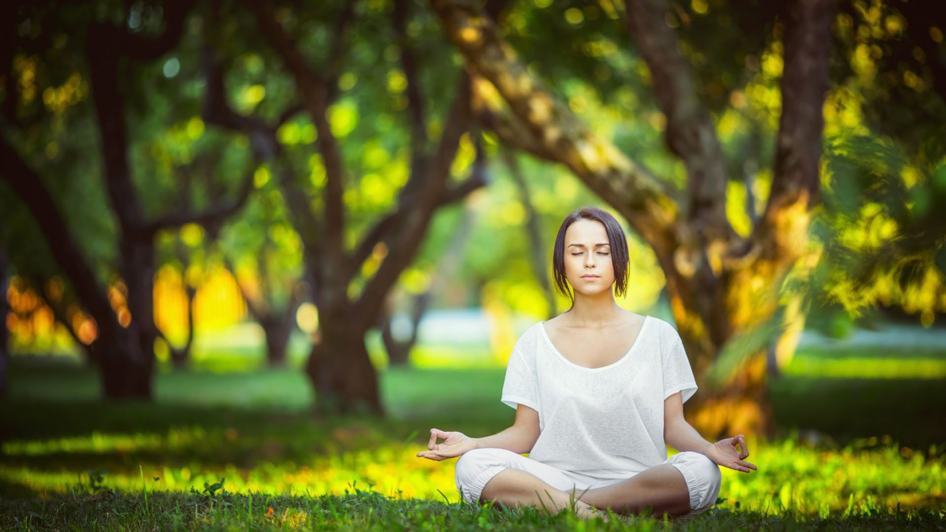 战队发布选手荣誉榜致敬关键时刻贡献人物,战队赛荣誉勋章获得